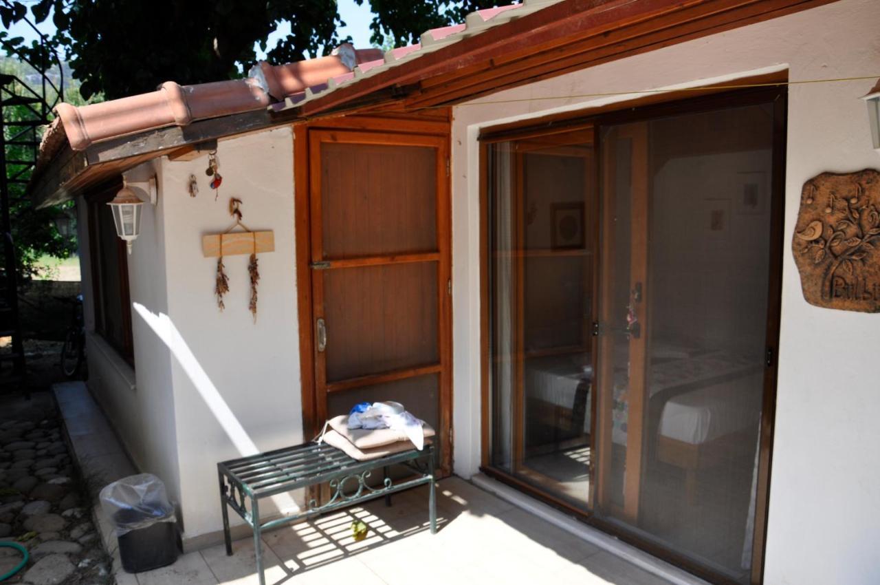Cirali Kus Yuvası Bed & Breakfast Dış mekan fotoğraf