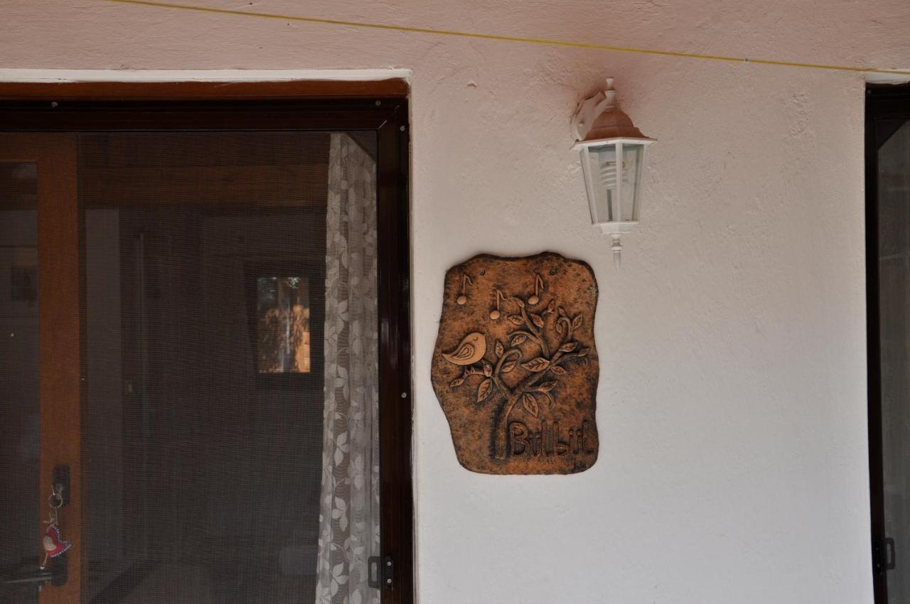 Cirali Kus Yuvası Bed & Breakfast Dış mekan fotoğraf