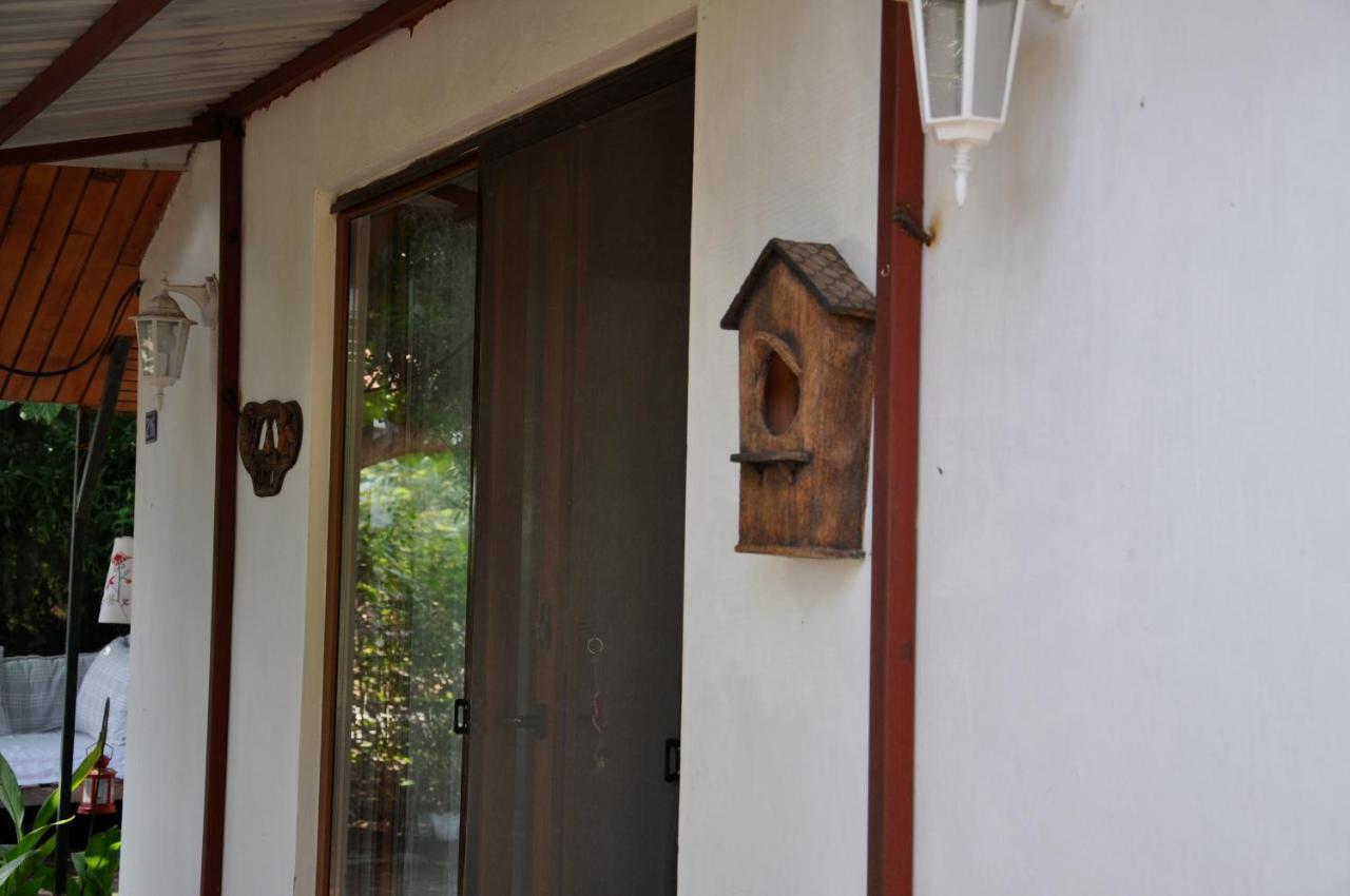 Cirali Kus Yuvası Bed & Breakfast Dış mekan fotoğraf