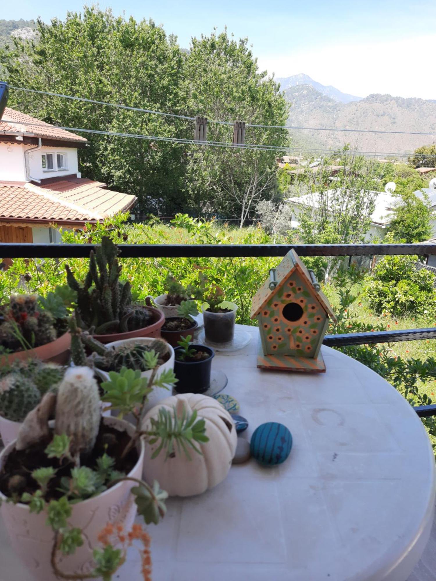 Cirali Kus Yuvası Bed & Breakfast Oda fotoğraf