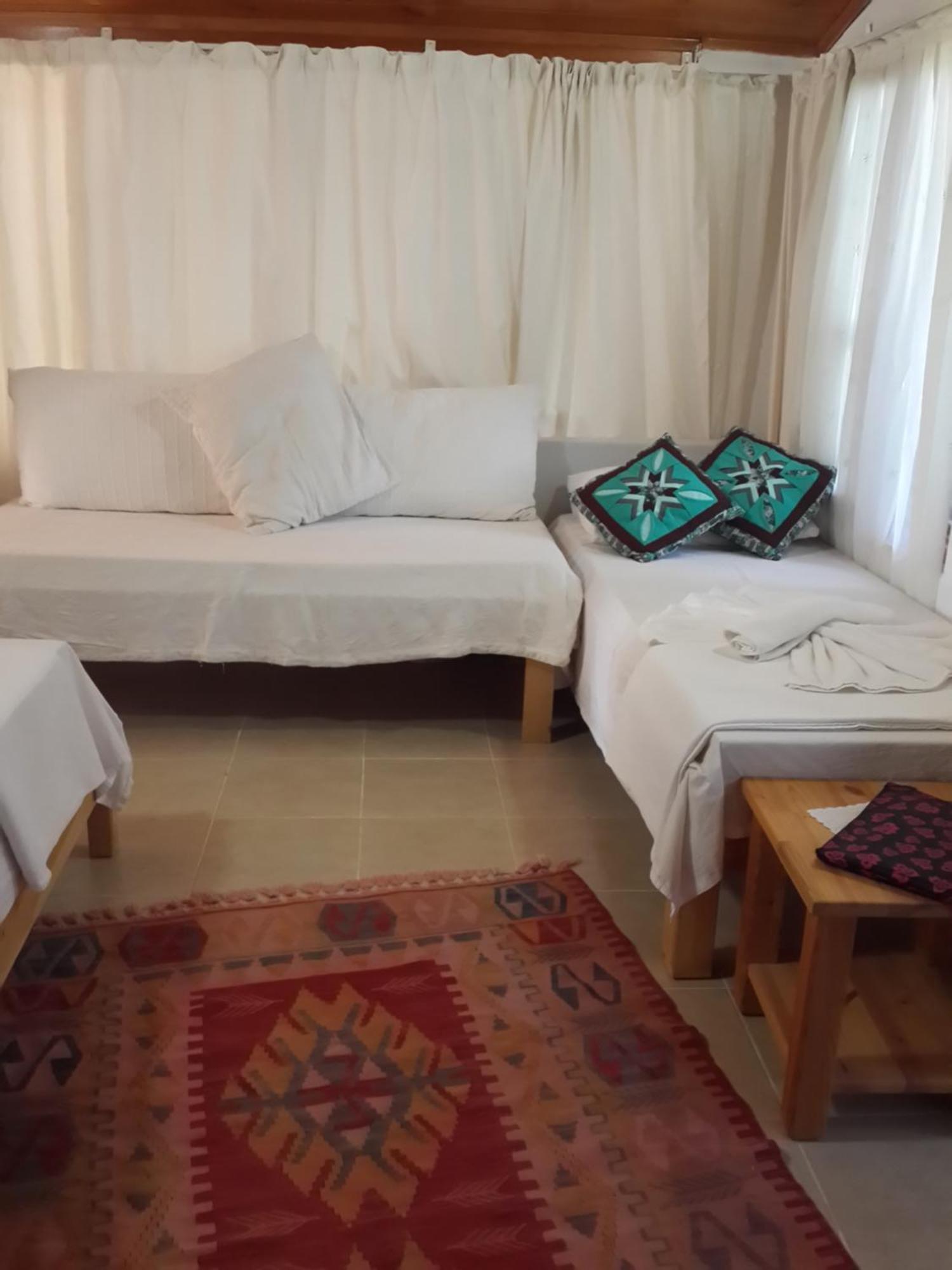 Cirali Kus Yuvası Bed & Breakfast Oda fotoğraf